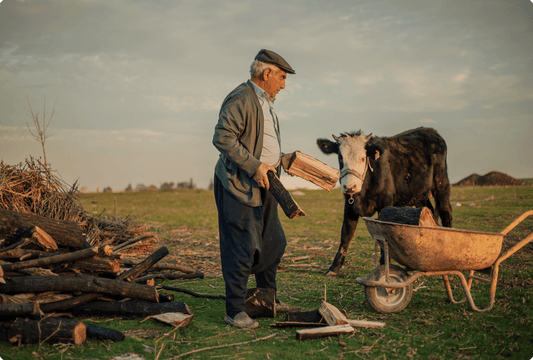 Nutrition and supplementation for seniors: the key to healthy aging