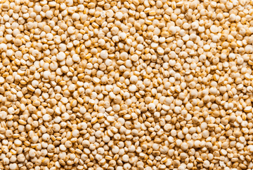 B Vitamins: The Invisible Engines of Our Cells