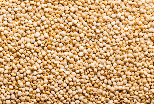 B Vitamins: The Invisible Engines of Our Cells