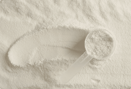 The role of collagen in the human body