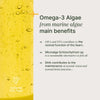 Omega-3-Algen